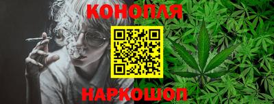 стаф Краснодар
