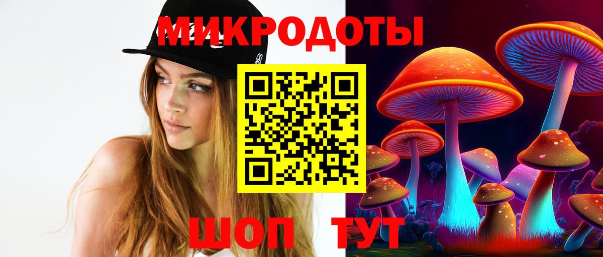 как найти закладки  Галлюциногенные грибы Psilocybe  Губкинский  Вход с VPN  Галлюциногенные грибы MAGIC MUSHROOMS 